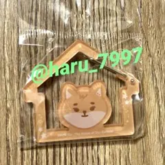 DAY6 ヨンケイ KE グッズ IMAGE PICKET - YOUNG K / DAY6『3RD WORLD TOUR ＜FOREVER