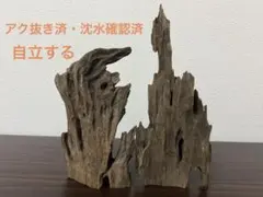 2026年最新】マシンガンウッドの人気アイテム - メルカリ