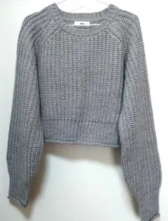 WEGO グレー クロップドニットセーター　F