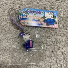 希少 新品 平成レトロ ご当地 ハローキティ ぶどうキティ ストラップ ご当地キティのフリマアイテム一覧