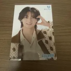 EBiDAN museum 入場特典 ICEx 山本龍人