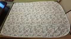 Item thumbnail for item 9a571e53-a22b-41ab-aa6a-d44ad7d88f0d