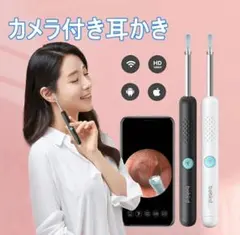 bebird R1 耳の中がカメラで見える耳かき