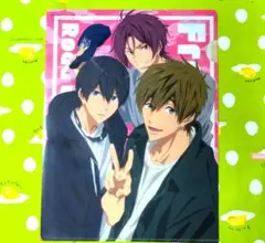 アニメディア 7月号 Free! 付録 クリアファイル 七瀬遙 橘真琴 松岡凛