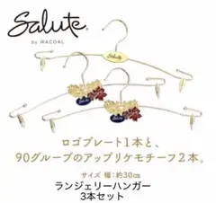 Salute サルート 非売品 ランジェリーハンガー 3本セット - メルカリ