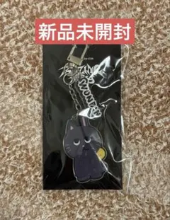 RIIZE RIIZINGDAY アクリルキーホルダー ウォンビン トニャンドク