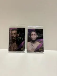 2026年最新】RIZIN ウエハース コンプリートの人気アイテム - メルカリ