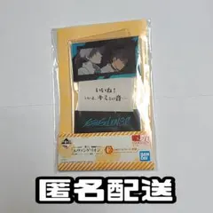 一番くじ エヴァ アクスタ アクリルスタンド 渚カヲル 碇シンジ