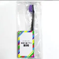 【正規品】奇跡の歯ブラシ BIG パープル1本