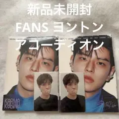 スンミン　FANS KARMA アコーディオン　StrayKids