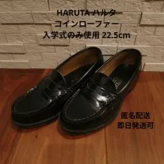 Item thumbnail for item 29d62788-16fb-40b1-81cf-de6b7fedcd9f