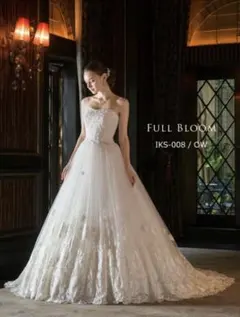 Vieux Paris Aライン ドレス 7-11号（ドレスカバー付）