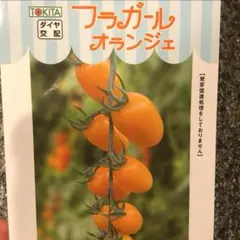 モロ ※※※プロフ、よんでね※※※様 リクエスト 2点 まとめ商品