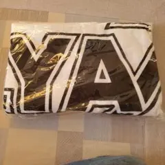 2025年最新】永ちゃんスペシャルビーチタオルの人気アイテム - メルカリ