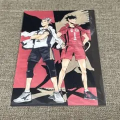 ハイキュー ハイキュー展 原画 ゲンガ タイカン ポストカード 主将