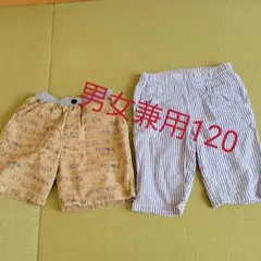 120柄パン2枚セット