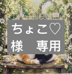 ちょこ♡商品説明とコメントを読んでね♡様　専用