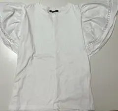 Item thumbnail for item 7006a249-a2e1-4d82-adea-aab2b8a8e189