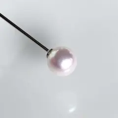 Item thumbnail for item 105e5ee9-df22-4dc4-9395-5803ff5b6906