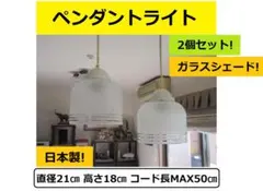 天井照明 ガラスシェード ランプシェード ペンダントライト ダクトレール照明