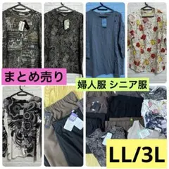 8x45 Bundle: Women's Clothing, Senior Women's Tops & Pants, Large Sizes