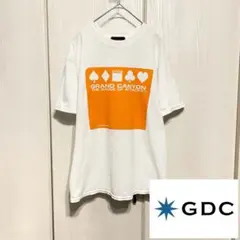 【90's】 grand canyon / CDG トランプ Teeのサムネイル