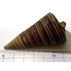 Item thumbnail for item 29ffff44-2ebf-45d0-b801-55f4a2f03e0e