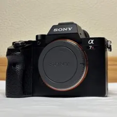 2026年最新】ソニーα7RIIボディILCE_7RM2の人気アイテム - メルカリ