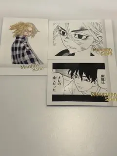 佐野万次郎　ぱしゃこれ