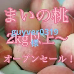 guyver0319様専用　桃　スイカ同梱