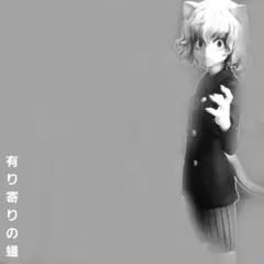 一度くじ　HUNTER×HUNTER　キメラアント編2　ネフェルピトー　単騎