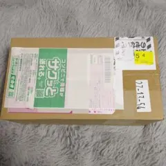 ダンボール未開封品 ポケモンセンタースペシャルBOX ヒロシマ 新品