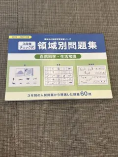 Item thumbnail for item 386d1e73-c4a3-4bd5-80f9-4e02f17959ed