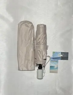 Item thumbnail for item e2b1a1af-d6e4-4eed-ba84-3dc6c2a203fd