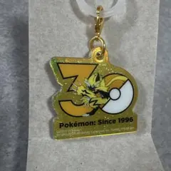 ポケモン 30周年ロゴマスコット ゼラオラ ポケチャーム ロゴチャーム