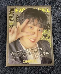 2025年最新】exo チャニョル トレカの人気アイテム - メルカリ