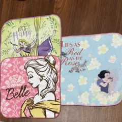 新品未使用　ディズニープリンセス 3枚セット