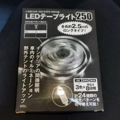 DIME ダイム 付録 LEDテープライト250