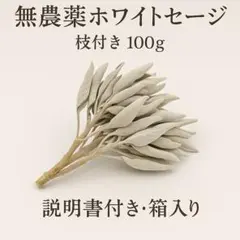 LETT2000様 リクエスト 2点 まとめ商品