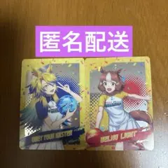 ウマ娘 シンデレラグレイ ラウンドワン コラボ メタルカード ２枚セット