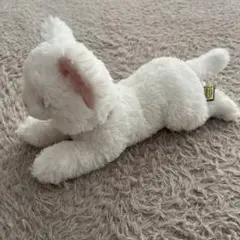 Sunlemon ぬいぐるみ 白猫 オッドアイ ひざねこ ssのサムネイル