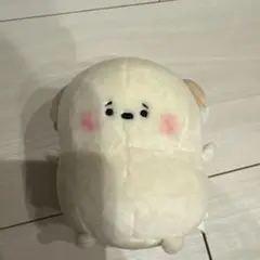 ぽてちむ わんこ