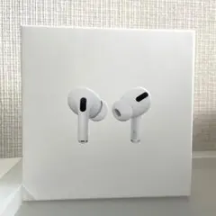 Apple AirPods 空箱　イヤーピース、充電ケーブル付き
