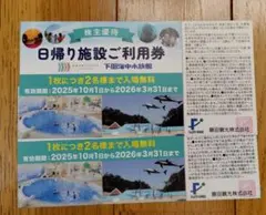 藤田観光　株主優待券2枚　下田海中水族館 ユネッサンリゾート　日帰り施設利用券
