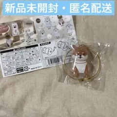 わんこのタイムカプセル【まめ】