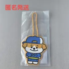 GLAY 函館空港 ラゲッジタグ 他 GLAY 函館空港限定品 ズラー機長 ラゲッジタグ ZURA ズラー - メルカリ