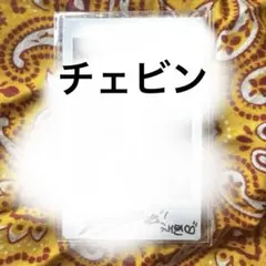 NATURE ポラロイド チェビン 5