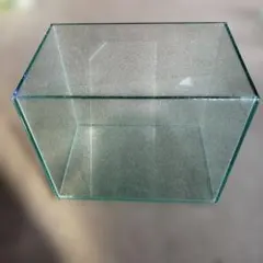 GEXガラス水槽