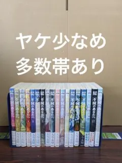 不滅のあなたへ 全巻初版本、帯付きセット（完結） 不滅のあなたへ 全巻初版本 1巻から25巻 不滅のあなたへ
