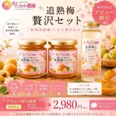 【あつ】山形産 農薬不使用❗️希少在来種 谷沢梅 サイズ混合5㎏ （56） 山形県産 幻の谷沢梅 訳あり5キロ サイズミックス 農薬不使用 朝採り